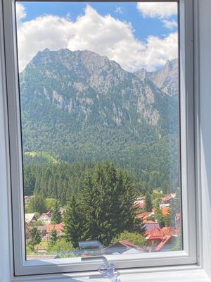 Living cu șemineu și balcon